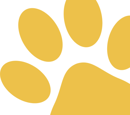 Dog Foot Mark Img