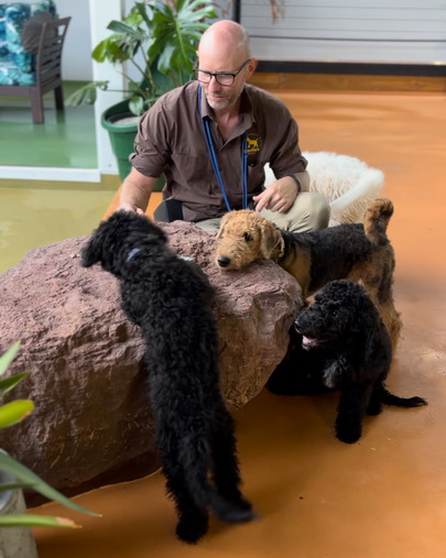 Woofers Dog Lounge Puppy Play & Learn Page